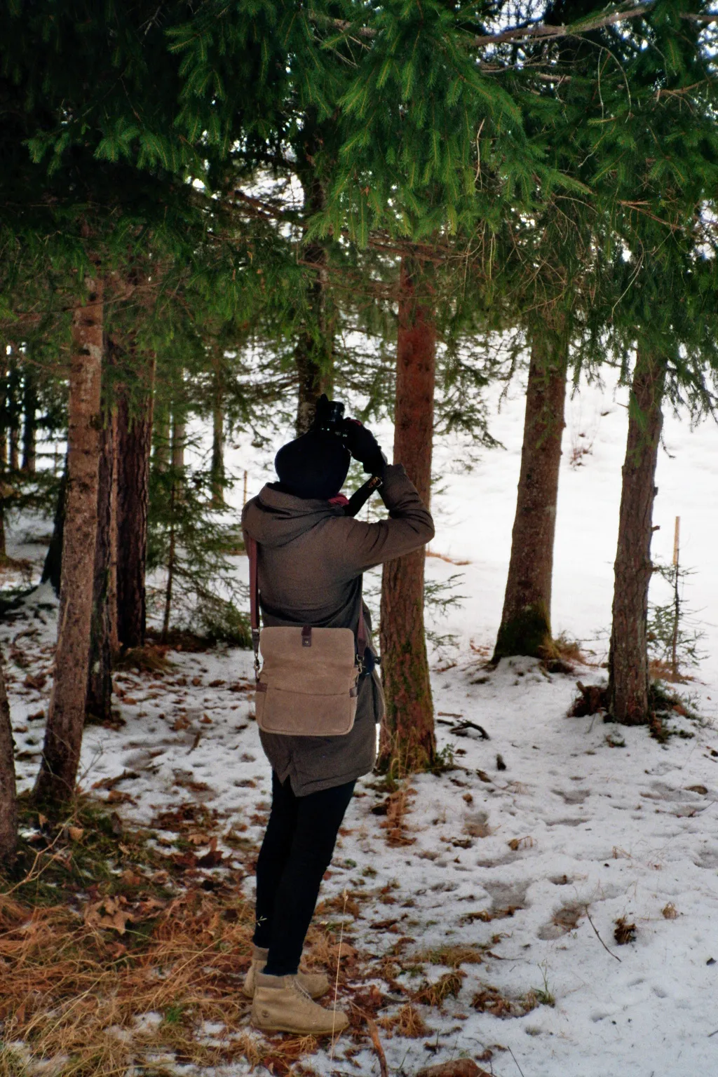 Minolta 7000 AF