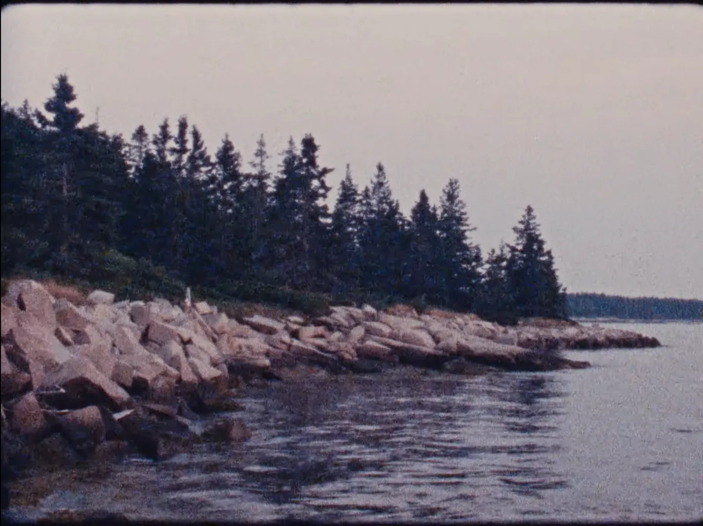 Island Shore